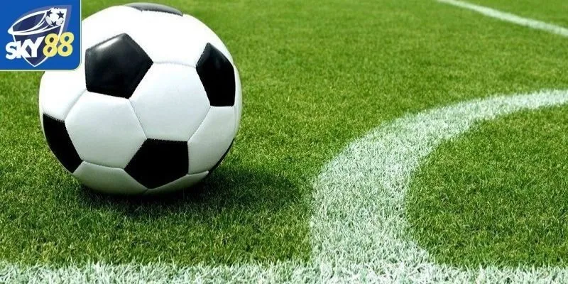 Kèo Châu Âu Là Gì? - Mẹo Tham Gia Cho Những Người Mới 1 Cửa cược được mọi người chú ý hiện nay