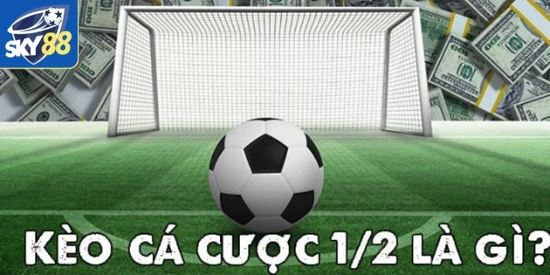 Kèo Chấp 1/2 - Sự Đam Mê Hàng Đầu Của Các Chuyên Gia Sky88 1 Đôi nét về loại hình kèo cược nửa trái
