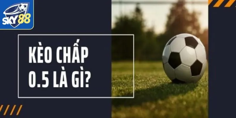 Kèo Chấp 0.5 - Sự Lựa Chọn Hàng Đầu Dành Cho Cược Thủ 1 Sơ lược về loại hình cá cược được yêu thích hiện nay